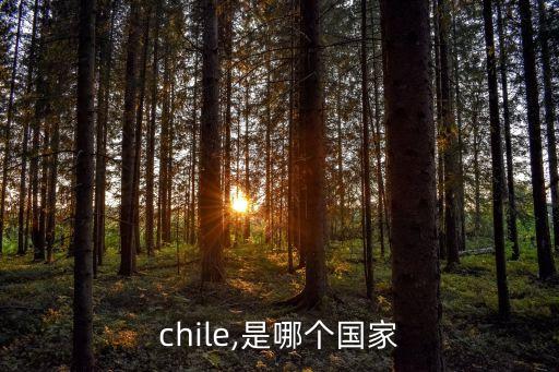 chile,是哪個(gè)國家