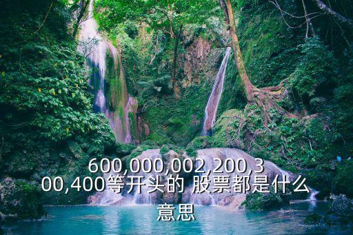 600,000,002,200,300,400等開(kāi)頭的 股票都是什么意思