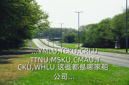 ...YMLU,TEKU,CRLU,TTNU,MSKU,CMAU,TCKU,WHLU,這些都是哪家船 公司...