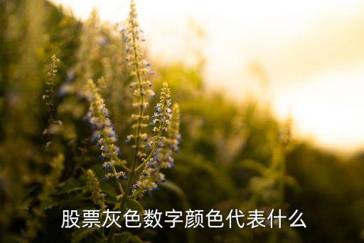  股票灰色數(shù)字顏色代表什么