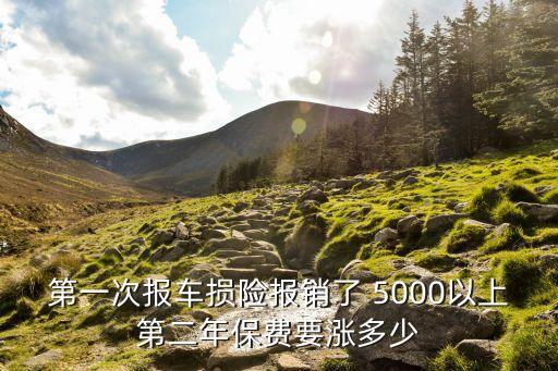 第一次報車損險報銷了 5000以上第二年保費要漲多少