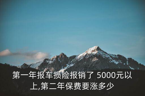 第一年報車損險報銷了 5000元以上,第二年保費要漲多少