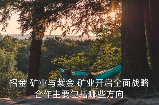 招金 礦業(yè)與紫金 礦業(yè)開啟全面戰(zhàn)略合作主要包括哪些方向