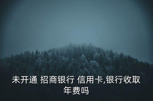 未開(kāi)通 招商銀行 信用卡,銀行收取年費(fèi)嗎