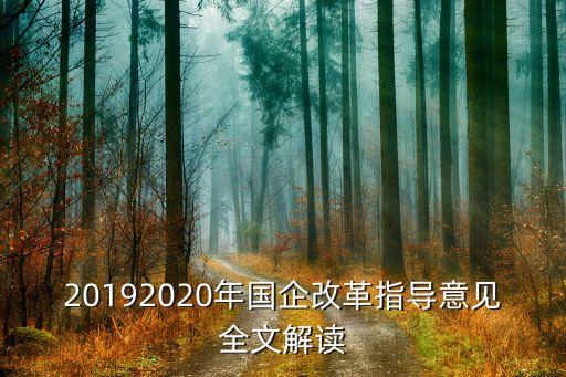 20192020年國企改革指導(dǎo)意見全文解讀