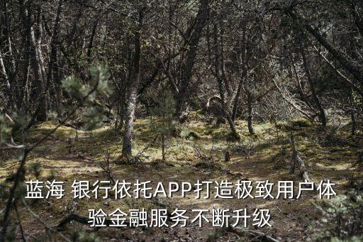 藍(lán)海 銀行依托APP打造極致用戶體驗(yàn)金融服務(wù)不斷升級