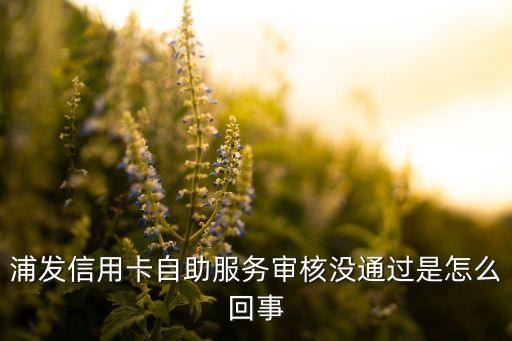 浦發(fā)信用卡自助服務(wù)審核沒通過(guò)是怎么回事