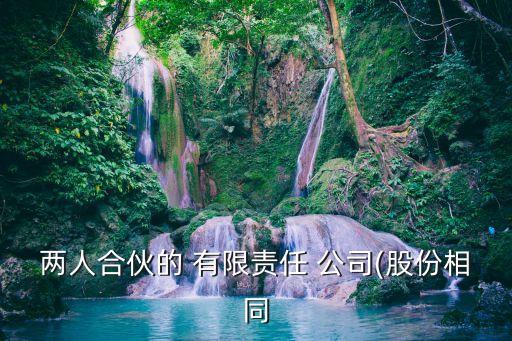 兩人合伙的 有限責任 公司(股份相同