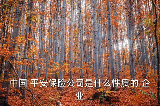 中國 平安保險公司是什么性質(zhì)的 企業(yè)