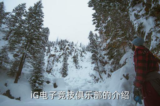 iG電子競技俱樂部的介紹