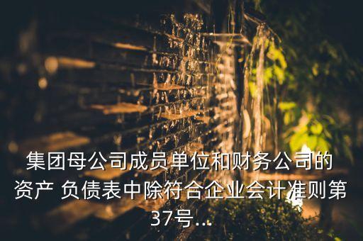  集團(tuán)母公司成員單位和財務(wù)公司的 資產(chǎn) 負(fù)債表中除符合企業(yè)會計準(zhǔn)則第37號...