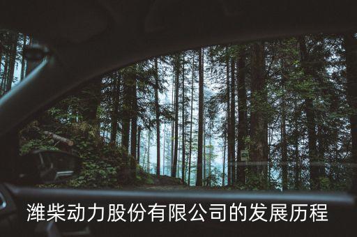 2008中國(guó)企業(yè)500強(qiáng),最新中國(guó)企業(yè)500強(qiáng)名單