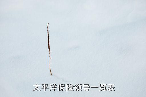  太平洋保險(xiǎn)領(lǐng)導(dǎo)一覽表