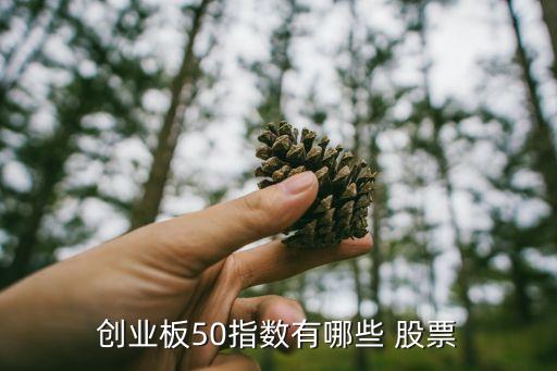 創(chuàng)業(yè)板50指數(shù)有哪些 股票