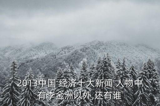 2013中國 經(jīng)濟(jì)十大新聞 人物中有李金洲以外,還有誰