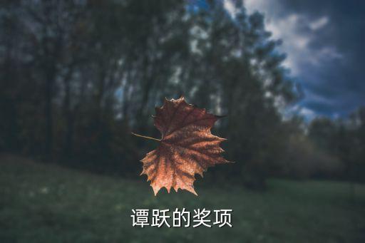 譚躍的獎項(xiàng)