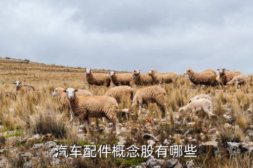 汽車配件概念股有哪些