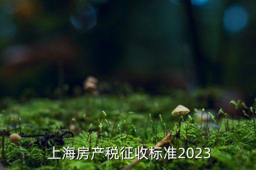  上海房產(chǎn)稅征收標準2023