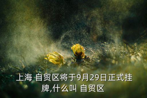 中國在這個時間點提出上海自貿(mào)區(qū)的原因