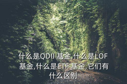 什么是QDII 基金,什么是LOF 基金,什么是ETF 基金,它們有什么區(qū)別