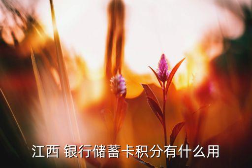 江西 銀行儲(chǔ)蓄卡積分有什么用