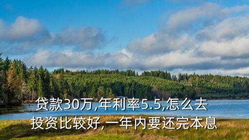 貸款30萬,年利率5.5,怎么去 投資比較好,一年內(nèi)要還完本息