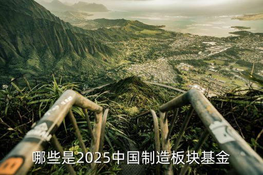 哪些是2025中國制造板塊基金