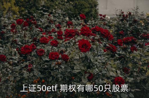 上證50etf 期權(quán)有哪50只股票