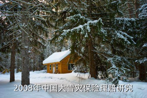 2008年中國大雪災(zāi)保險理賠研究