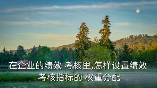 在企業(yè)的績效 考核里,怎樣設(shè)置績效 考核指標(biāo)的 權(quán)重分配