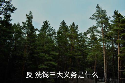 反 洗錢三大義務(wù)是什么