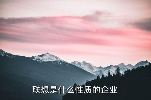 聯(lián)想是什么性質(zhì)的企業(yè)