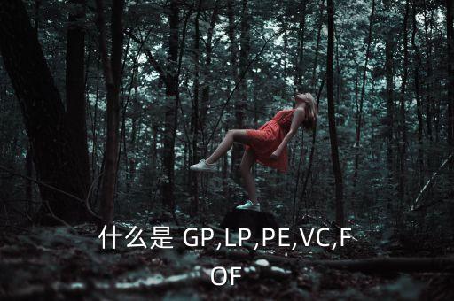 什么是 GP,LP,PE,VC,FOF