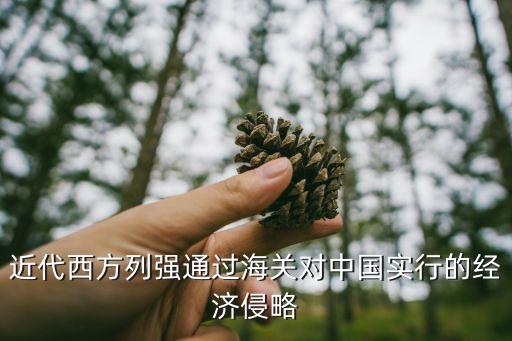 近代西方列強通過海關對中國實行的經(jīng)濟侵略