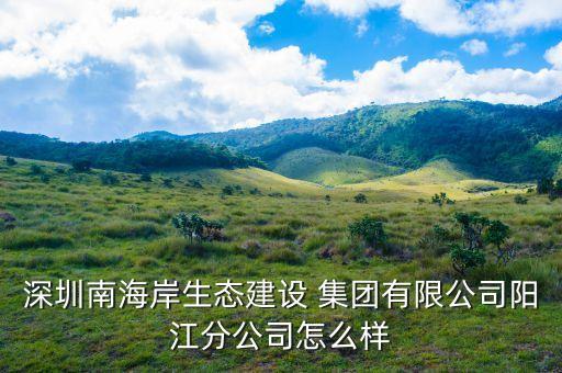 深圳南海岸生態(tài)建設(shè) 集團(tuán)有限公司陽江分公司怎么樣