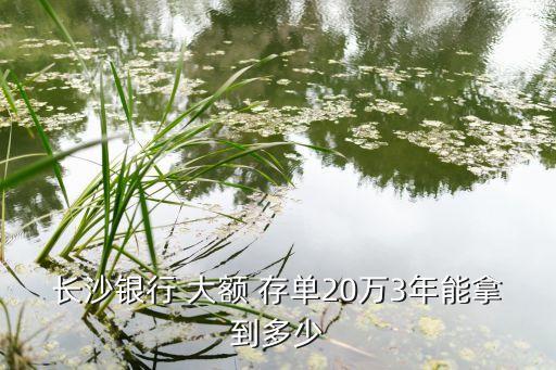 浦發(fā)銀行大額存單利率,大額2023各銀行定期存款利率