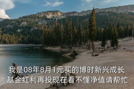 我是08年8月1元買的博時新興成長 基金紅利再投現(xiàn)在看不懂凈值請幫忙