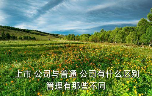  上市 公司與普通 公司有什么區(qū)別管理有那些不同