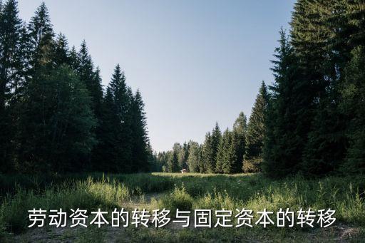 勞動資本的轉(zhuǎn)移與固定資本的轉(zhuǎn)移