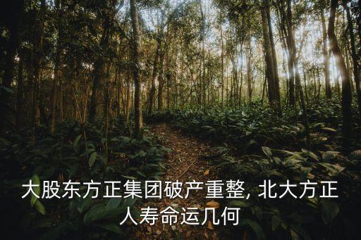 大股東方正集團破產(chǎn)重整, 北大方正人壽命運幾何