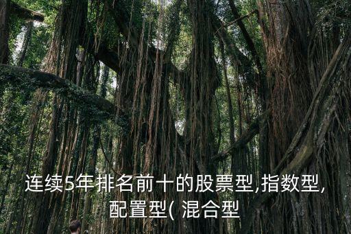 連續(xù)5年排名前十的股票型,指數(shù)型,配置型( 混合型