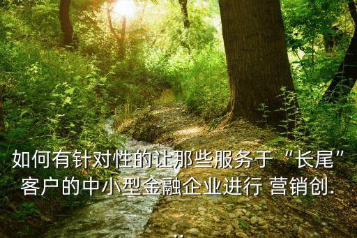 如何有針對(duì)性的讓那些服務(wù)于“長(zhǎng)尾”客戶的中小型金融企業(yè)進(jìn)行 營銷創(chuàng)...