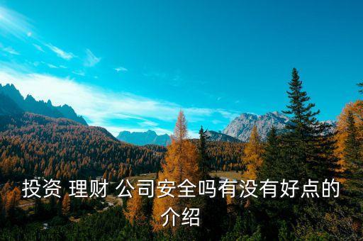 投資 理財(cái) 公司安全嗎有沒(méi)有好點(diǎn)的介紹