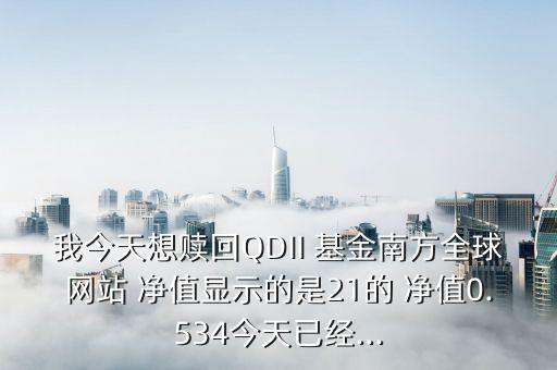 qdii基金凈值查詢,關(guān)于qdii基金凈值的披露以下表述正確的是