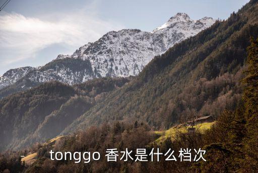 tonggo 香水是什么檔次