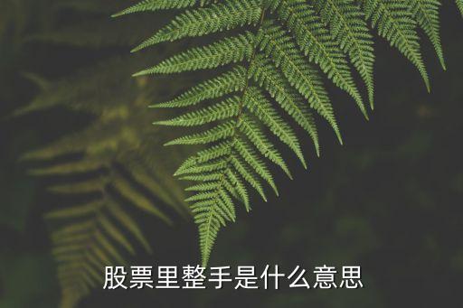 股票中的手