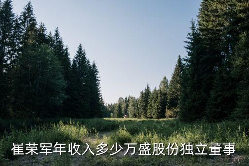 崔榮軍年收入多少萬盛股份獨(dú)立董事