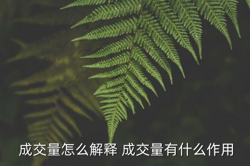  成交量怎么解釋 成交量有什么作用