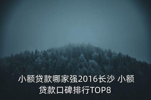  小額貸款哪家強2016長沙 小額貸款口碑排行TOP8