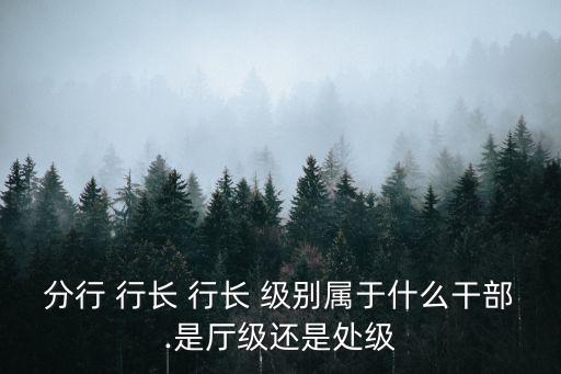 分行 行長(zhǎng) 行長(zhǎng) 級(jí)別屬于什么干部.是廳級(jí)還是處級(jí)